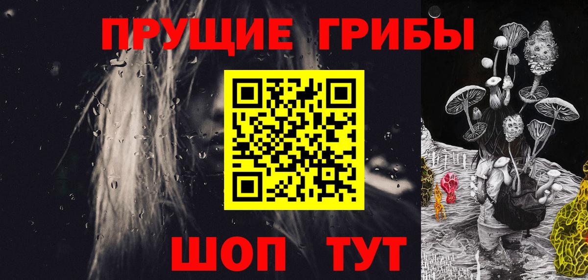 где продают   Галлюциногенные грибы мицелий  Галлюциногенные грибы GOLDEN TEACHER  Вход с VPN  Семёнов 